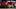 Philadelphia Phillies starting hats Philadelphia Phillies starting hats