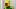 oregon ducks dan lanning fall camp devon jackson gage hurych evan stewart linebacker receiver kicker offense special teams oregon ducks dan lanning fall camp devon jackson gage hurych evan stewart linebacker receiver kicker offense special teams