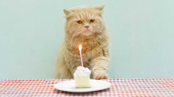 Every birthday counts when you just have one life.