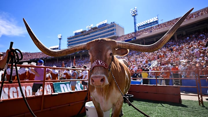 A view of Texas Longhorns mascot Bevo during the first half of the game between the Texas Longhorns and the Oklahoma Sooners at the Cotton Bowl.