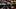 Star Trek: Strange New Worlds season 4 episode 5