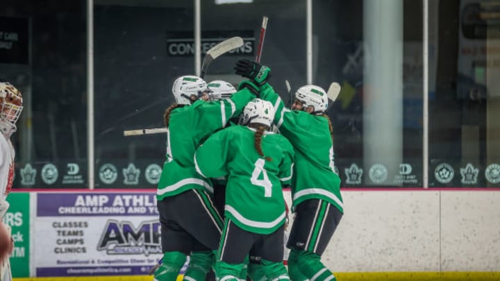 Hill-Murray faces Lakeville North in the 2026 Minnesota high school girls hockey Class 2A quarterfinals.
