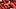 Boston Red Sox first baseman Triston Casas Boston Red Sox first baseman Triston Casas