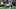 Seattle Seahawks running back Zach Charbonnet, Fantasy Football Seattle Seahawks running back Zach Charbonnet, Fantasy Football