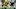 Chicago Bears, Jackson Powers-Johnson Chicago Bears, Jackson Powers-Johnson