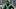 Oregon ducks jerseys uniforms speed hayward field dakorien moore khyree jackson spencer webb phil knight nike luke rubley Oregon ducks jerseys uniforms speed hayward field dakorien moore khyree jackson spencer webb phil knight nike luke rubley