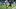 Baltimore Ravens quarterback Lamar Jackson (8) runs with the ball past Dallas Cowboys linebacker Dee Winters Baltimore Ravens quarterback Lamar Jackson (8) runs with the ball past Dallas Cowboys linebacker Dee Winters