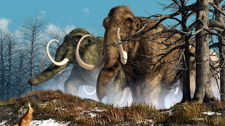 Megafauna like woolly mammoths dominated during the ice age.