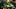Oregon Ducks quarterback Dante Moore Oregon Ducks quarterback Dante Moore