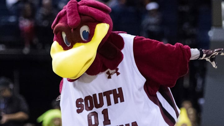 South Carolina Gamecocks mascot Cocky