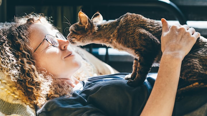 A ban on cats isn‘t happening.