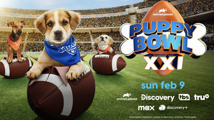 Puppy Bowl XXI