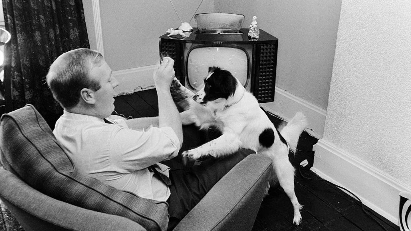 The Dog Who Saved the 1966 World Cup: Pickles and the Stolen