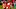 Soccer - FA Barclaycard Premiership - Liverpool v Manchester United