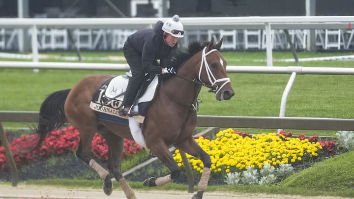 May 14, 2025; Baltimore, MD, USA; Preakness Stakes entry, Journalism breezes during morning workouts at Pimlico Race Course. Mandatory Credit: Gregory Fisher-Imagn Images