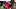 Atlanta Falcons quarterback Michael Penix Jr.