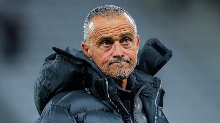 Luis Enrique - Paris SG