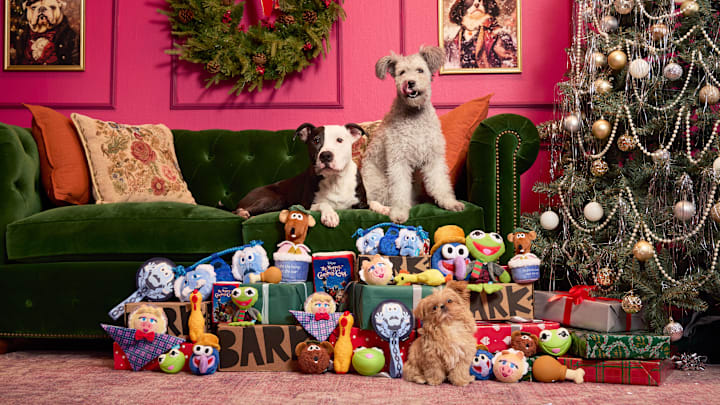 BarkBox x Disney's The Muppet Christmas Carol Collection