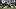 D'Andre Swift running with the ball