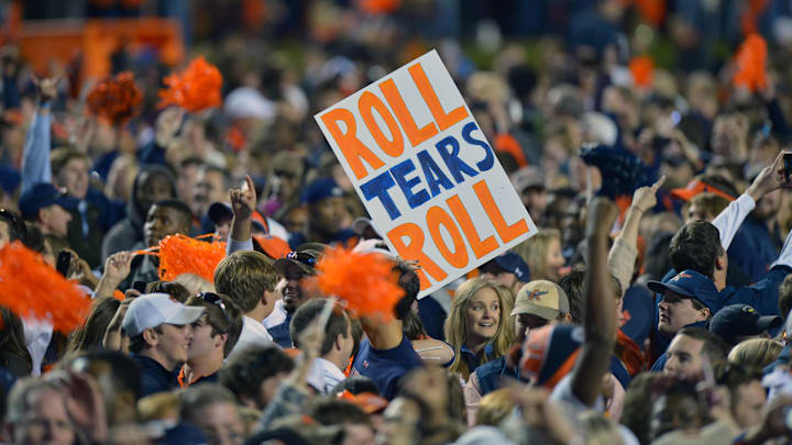 Nov 30, 2013; Auburn, AL, USA;  Auburn Tigers fans storm the field in celebration following their victory over the Alabama Crimson Tide 34-28 after a 100 yard return of a missed field goal by  cornerback Chris Davis (11) with no time left in the game at Jordan Hare Stadium. Mandatory Credit: RVR Photos-Imagn Images