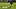 Oct 22, 2026; Chicago, Illinois, USA; Chicago Bears wide receiver Luther Burden III (10) runs the ball againstNew England Pa Oct 22, 2026; Chicago, Illinois, USA; Chicago Bears wide receiver Luther Burden III (10) runs the ball againstNew England Pa