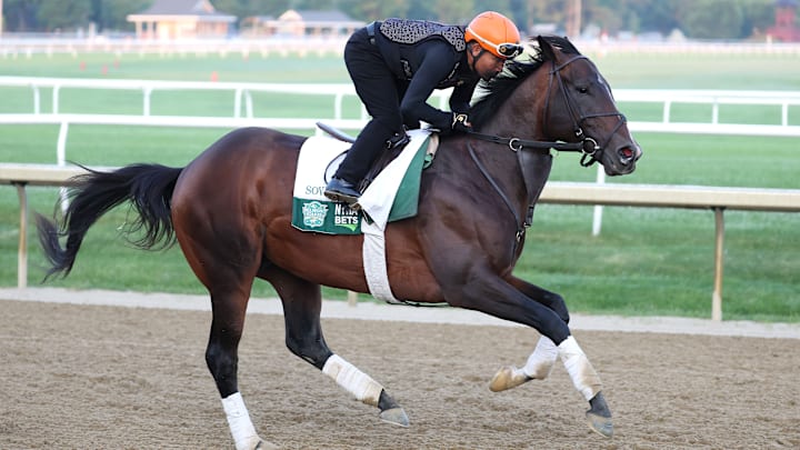 157th Belmont Stakes - Previews