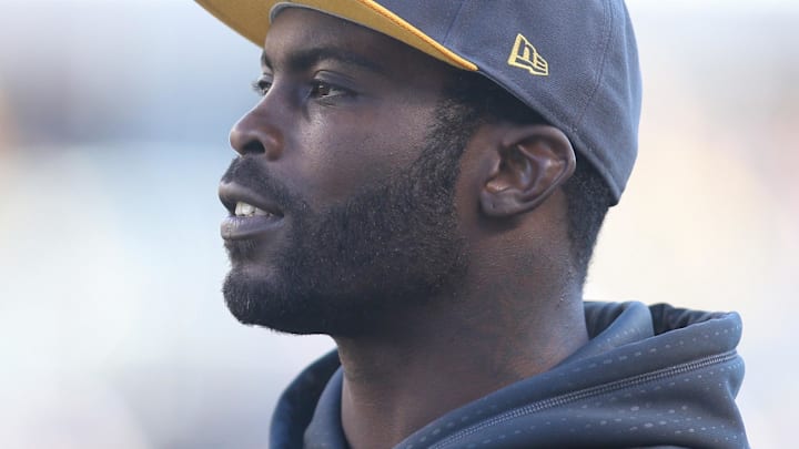 Nov 15, 2015; Pittsburgh, PA, USA; Pittsburgh Steelers quarterback Mike Vick (2) looks on from the sidelines against the Cleveland Browns during the second quarter at Heinz Field. The Steelers won 30-9. Mandatory Credit: Charles LeClaire-Imagn Images