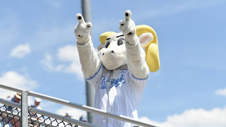June 7, 2026; Chapel Hill, NC, USA;  North Carolina Tar Heels mascot Rameses at Boshamer Stadium. Mandatory Credit: Zachary Taft-Imagn Images