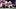 New England Patriots linebacker Elijah Ponder (91) New England Patriots linebacker Elijah Ponder (91)