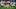 New England Patriots running back Corey Kiner New England Patriots running back Corey Kiner