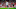 Mohamed Salah Mohamed Salah