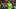 Fabian Bredlow applaudiert den Fans nach seinem Champions-League-Einsatz