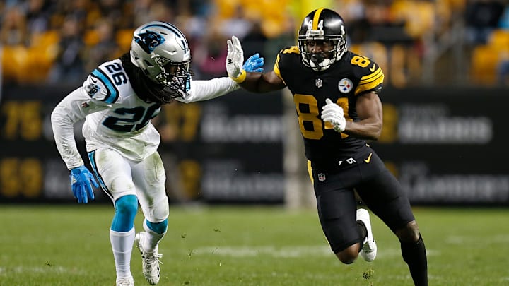 Carolina Panthers v Pittsburgh Steelers