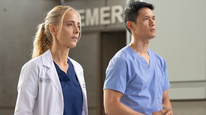 Grey's Anatomy season 22