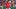 Boston Red Sox pitcher Tyler Samaniego Boston Red Sox pitcher Tyler Samaniego