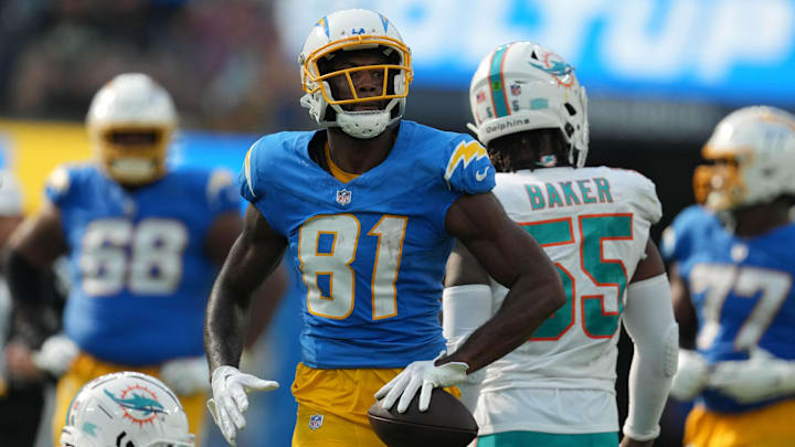 Free-agent WR Mike Williams would be the perfect signing for the Bears. 