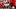 Houston Cougars linebacker Sione Fotu Houston Cougars linebacker Sione Fotu