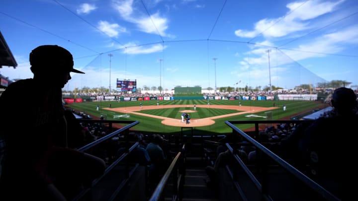 Fans watch from the stands as the Arizona Diamondbacks play against the Texas Rangers at Surprise Stadium on Sunday, March 2, 2025.