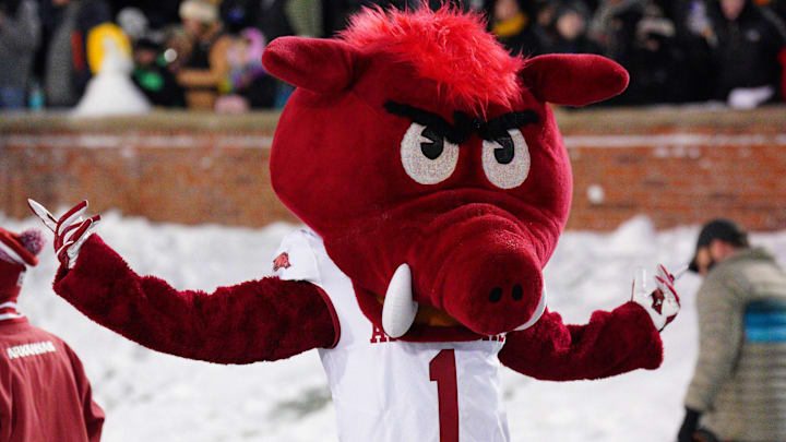 Nov 30, 2024; Columbia, Missouri, USA; The Arkansas Razorbacks mascot performs against the Missouri Tigers during the second half at Faurot Field at Memorial Stadium. Mandatory Credit: Denny Medley-Imagn Images