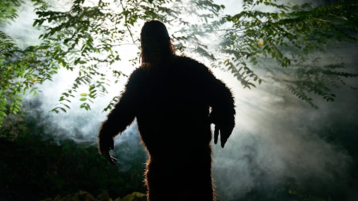 Bigfoot can’t be in the crosshairs here.