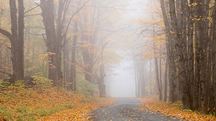 Misty Road in Vermont, USA
