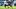 New England Patriots cornerback Marcellas Dial Jr. (27) New England Patriots cornerback Marcellas Dial Jr. (27)
