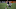 Kai Koreniuk, Emmanuel Boateng Kai Koreniuk, Emmanuel Boateng