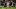 Millwall v Newcastle United - Carabao Cup - Third Round - The Den