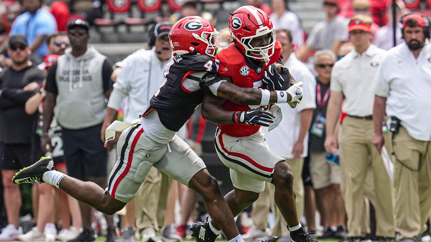 EA Sports gave Sanford Stadium the nod it deserves in new college football video game