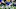 Jan 7, 2024; East Rutherford, New Jersey, USA; New York Giants linebacker Azeez Ojulari (51) Jan 7, 2024; East Rutherford, New Jersey, USA; New York Giants linebacker Azeez Ojulari (51)