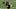 Aaron Rodgers, Pittsburgh Steelers, 2026 Fantasy Football Aaron Rodgers, Pittsburgh Steelers, 2026 Fantasy Football