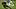 New England Patriots wide receiver Kyle Dixon (83) New England Patriots wide receiver Kyle Dixon (83)