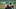 Boston Red Sox starting pitcher Sonny Gray Boston Red Sox starting pitcher Sonny Gray