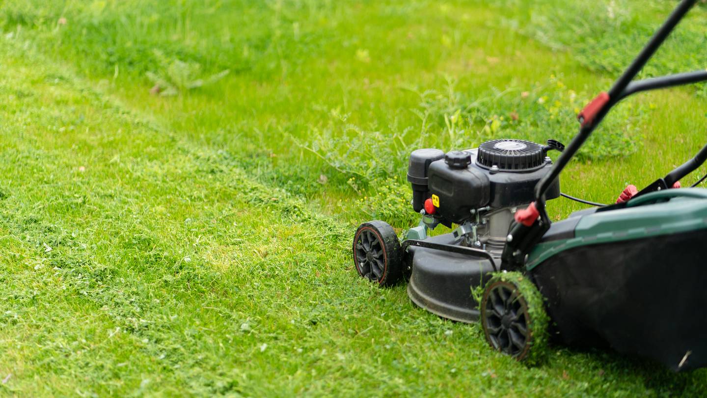 Mowing Lawns Started as a Luxury for Europe's Wealthiest Landowners